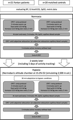 Adequate exercise response at artificial altitude in Fontan patients